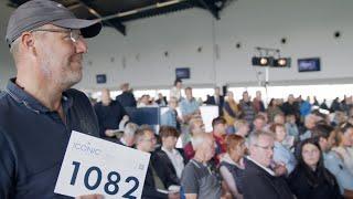 Buying with Iconic Auctioneers