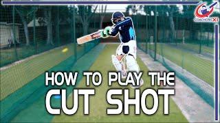 How to play the CUT SHOT | Cut Shot Tutorial and Drills | Cricket Batting Coaching