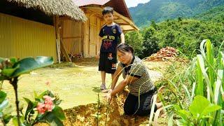 New house floor plan Washed away by water - picking fruit to sell at market.