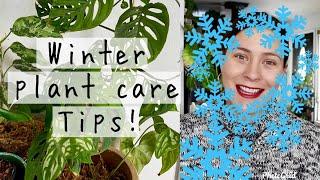 15 Winter Care Tips for Houseplants! | Winter Care Tips for Indoor Plants!