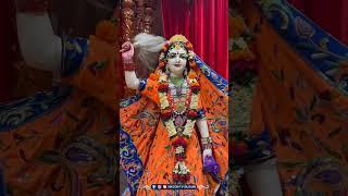  Today's Darshan of Sri Sri Radha Madhav Sundar 🪷 | 1st April 2025 | ISKCON Siliguri