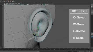 Modeling the Ear: The Helix