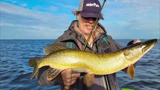 Fly fishing for pike in Rügen