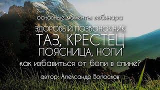 Здоровый позвоночник. Таз, крестец, поясница, ноги. Основные моменты вебинара ||| Александр Волосков