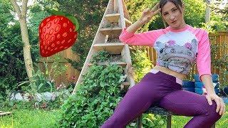 My Internet-Famous Strawberry Tower, DIY Veritcal Triangle Planter