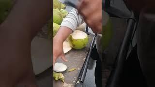 Coconut Cutting Techniques: Which is the Best?