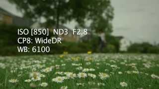 Canon EOS C300 EF - NEW CP8: Wide DR test. Canon 16-35mm 2.8 L