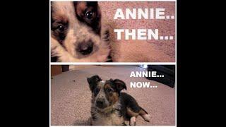 Annie Then and Now