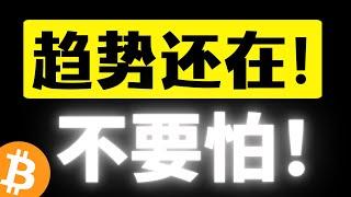 比特币趋势还在！不要怕，超跌反弹到来！逢回调入场，低点只会逐步抬高！恐慌情绪已经过去，不要被洗下车，牛市下半场在路上！比特币行情分析