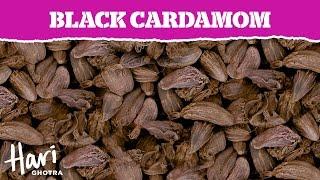 Spotlight on Spices | Black Cardamom