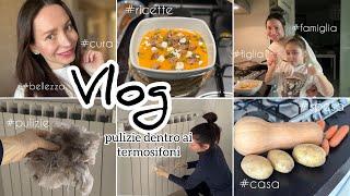 Pulizie profonde ai termosifoni / Ho preparato la zuppa di zucca e tutta la famiglia l'ha apprezzata