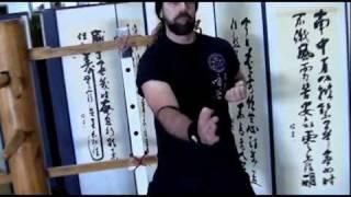 30 Second Wing Chun Tips #2 Elbow Power