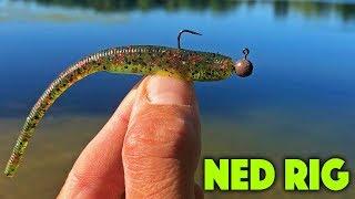 Ned Rig Retrieve Technique - Swim Glide & Shake