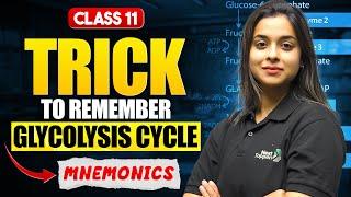 Glycolysis Cycle Trick | Glycolysis Mnemonics Class 11 Biology | CBSE 2025