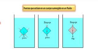 Aplicación del Principio de Arquímedes