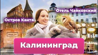 Калининград. Мистика, готика Кёнигсберга. Остров Канта, кафедральный собор Калининграда.