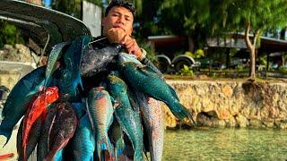 [Chapter 8] Getting Fire Up!!! Spearfishing with Jboy, Sully, Andres & Captain J