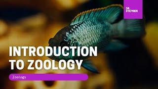 Zoology  I Introduction to Zoology