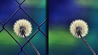 How to Remove Fence From Photo in Photoshop