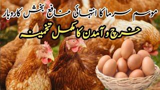 Desi Murgi Farm Business in Pakistan 2023 |Anday Wali Murgi