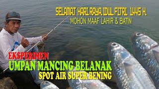 Eksperimen Umpan Mancing Belanak Di Spot Air Super Bening