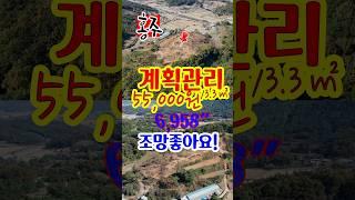 예산 임야 매매 #홍주공인중개사 #예산부동산