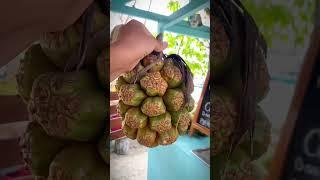 Экзотические фрукты с Бали #экзотическиефрукты #бали #пандан #фрукты