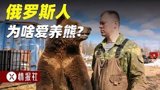 俄羅斯人“每戶一熊”？不怕被熊咬嗎？看完不得不服！