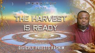 The Harvest Is Ready | Live Shabbat Class