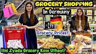 Grocery Shopping In Germany | Worst Day of My Life | Alyna Vlogs