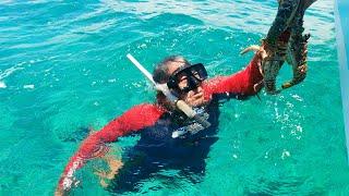 No me gustó el estudio y me mandaron al mar - Pescador Mexicano - El Capi Tiburón