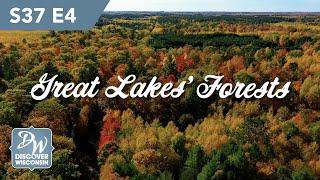 Forests of the Great Lakes Region - Conservation to Recreation