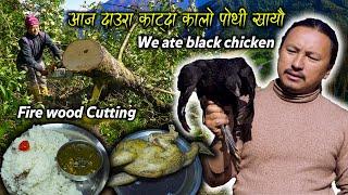 Cutting firewood in a rural village || Black hen chicken Recipe making and eating in village kitchen