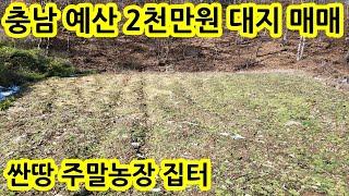 2천만원 대지 산밑 조용한곳 2천만원 국유지 도로접 싼땅 전원주택지 주말농장 농터 농막 세컨하우스 부지 농지 충남 예산군 대흥면 땅 토지 매물 매매