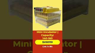 Efficient Mini Incubator for Optimal Egg Hatching