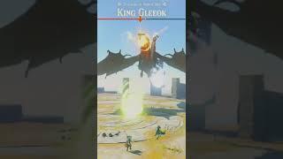 King Gleeok VS Spring Shield - Zelda Tears of the Kingdom