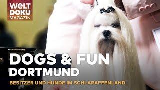 DOG & FUN HUNDEMESSE DORTMUND: Schnüffeln & Shoppen: Das Schlaraffenland für Vier- und Zweibeiner