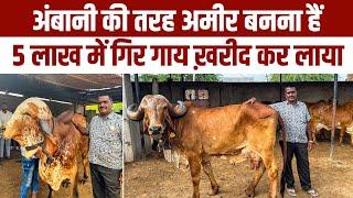 ग्राम सरपंच का सफल Gir farm || गुजरात से अच्छी गाय राजस्थान के गाँव में