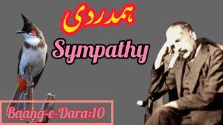 BANG-E-DRA: 10 Hamdardi Sympathy | Allama iqbal | Urdu Poetry | Kalam-e-iqbal lqbaliyat AmeenUddin