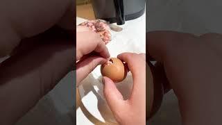 making the baby egg