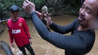 Aktiviti kaum iban di sungai,Menyelam ikan, mengumpan siput (Tekuyung) #dayak #borneo #sarawak