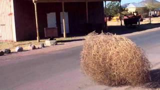 Tumbleweed wild west