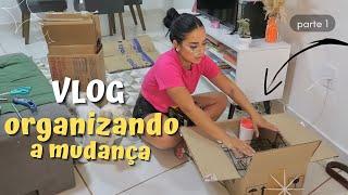 ORGANIZANDO A MUDANÇA PARTE 1 (VLOG)