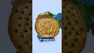World's Largest Cookie