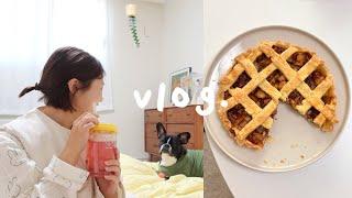 VLOG:: Living alone daily |I did DaangnNew oven(exciting!)baked apple pie & butter financier