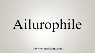 How To Say Ailurophile