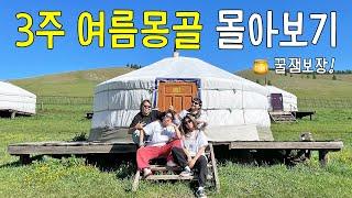 꿀잼보장 21박22일 여름 몽골여행 몰아보기 (5시간 45분)