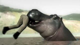 Hippo eats person (Z2)