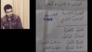 Huri Algısı ve Nebe 33: Kur’an Gerçekten Ne Anlatıyor?