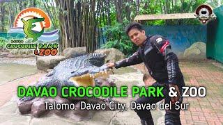 DAVAO CROCODILE PARK & ZOO | TALOMO, DAVAO CITY, DAVAO DEL SUR | AJDIAMON